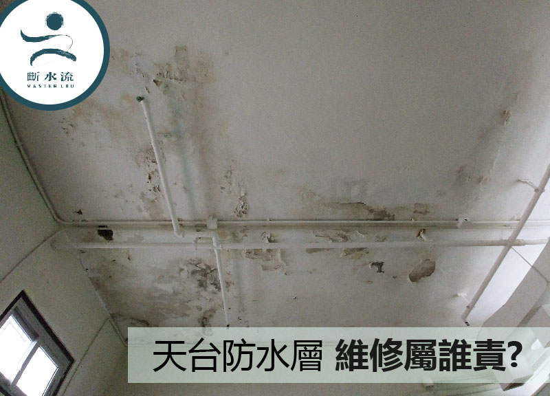 天台防水層維修屬誰責